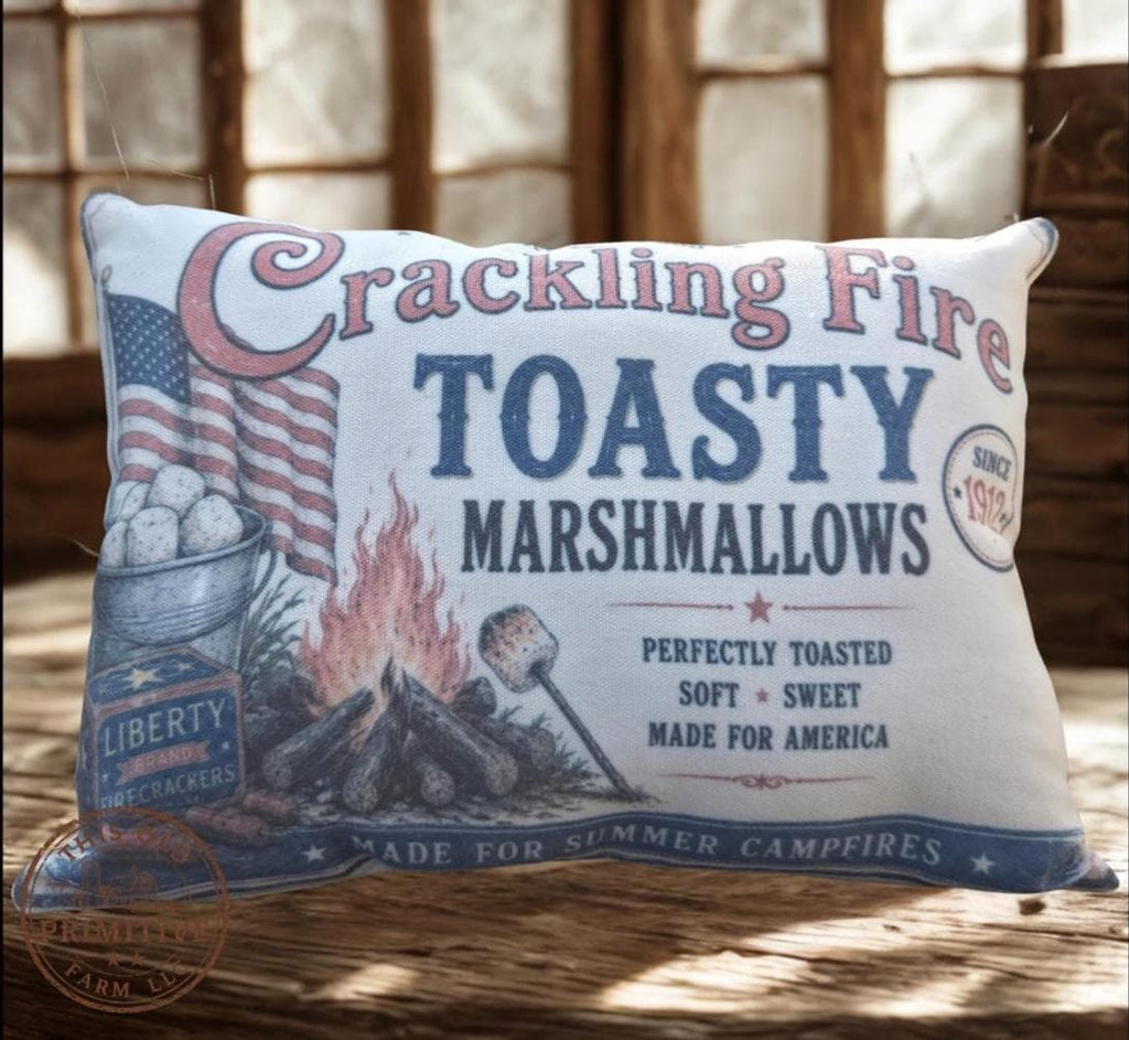 Crackling Fire Toasty Marshmallows Pillow | Vintage Americana Shelf Sitter