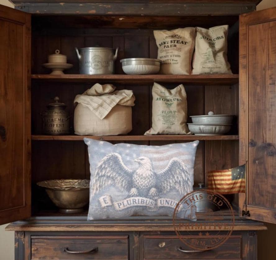 Primitive Eagle Pillow | Americana Farmhouse Decor | Colonial Style Accent