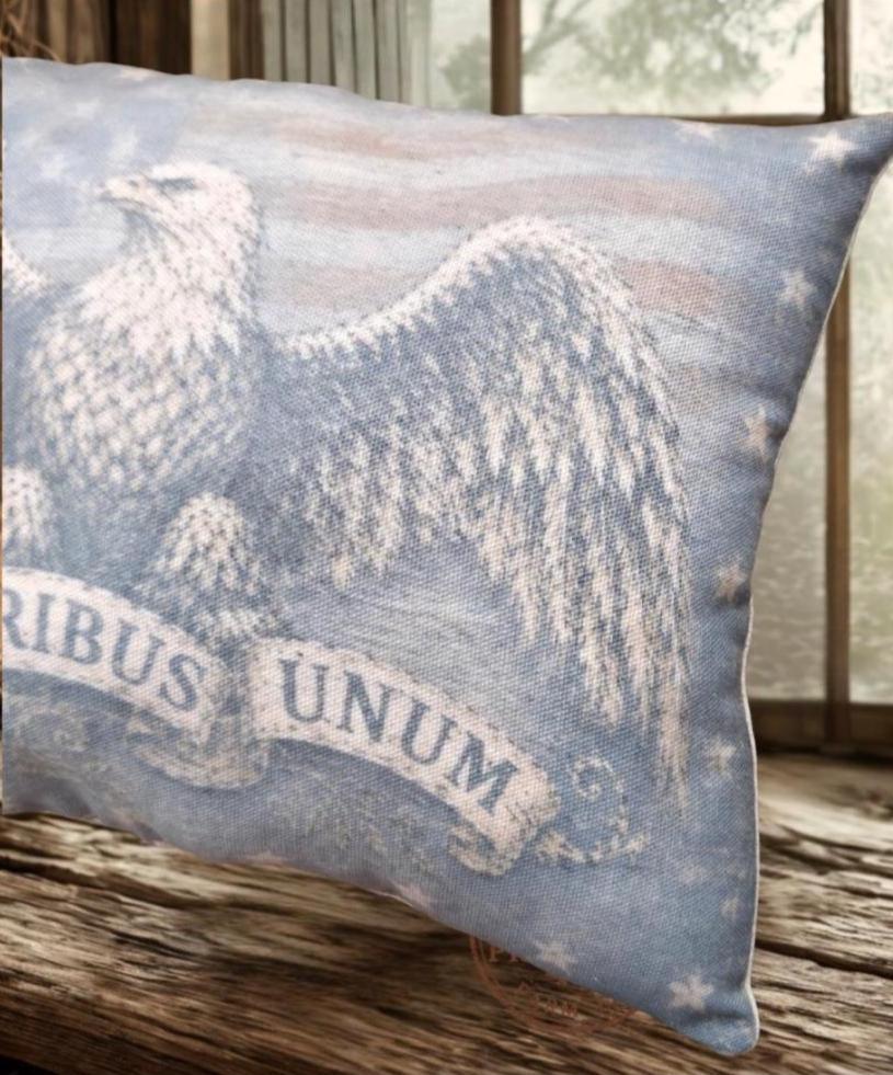 Primitive Eagle Pillow | Americana Farmhouse Decor | Colonial Style Accent