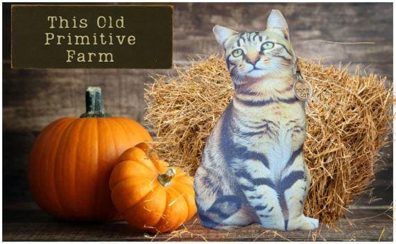 Handmade Barn Cat Pillow: Rustic Farmhouse Shelf Sitter