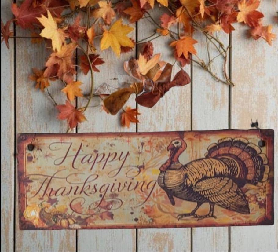 Handmade Thanksgiving Wood Sign | Rustic Farmhouse Turkey Artwork (13x5")