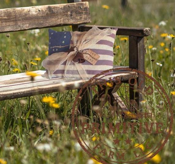 Primitive Americana 13 Star Pillow | Tuck Shelf Sitter, Rustic Farmhouse Decor