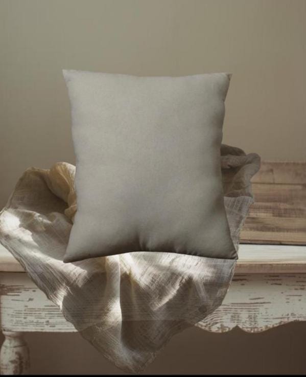 Primitive Strawberry Shortcake Pillow | Vintage Farmhouse Kitchen Accent, Nostalgic Food Art