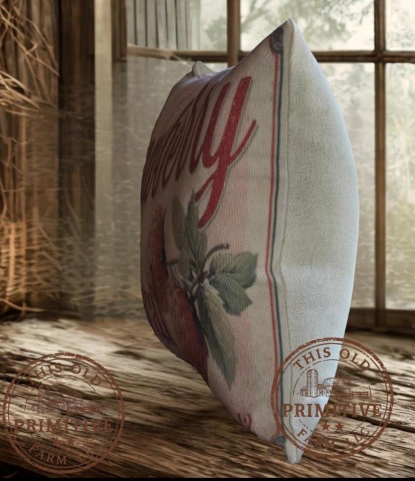 Strawberry Festival Pillow | Primitive Farmhouse Berry Crate Decor (12x9)