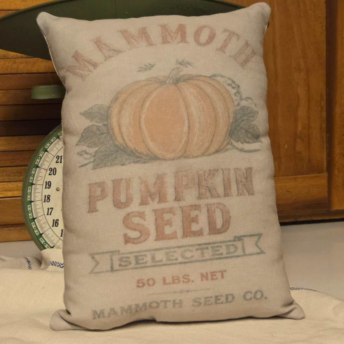 Pumpkin Seed Feedsack Pillow, Primitive Fall Shelf Sitter, Vintage Farmhouse Harvest Decor