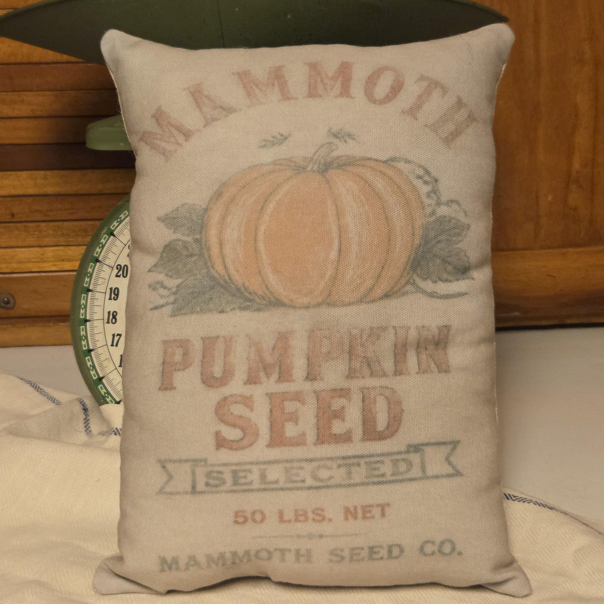 Pumpkin Seed Feedsack Pillow, Primitive Fall Shelf Sitter, Vintage Farmhouse Harvest Decor