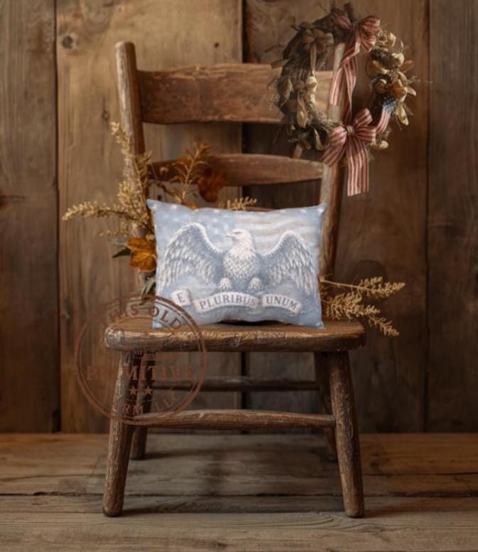 Primitive Eagle Pillow | Americana Farmhouse Decor | Colonial Style Accent